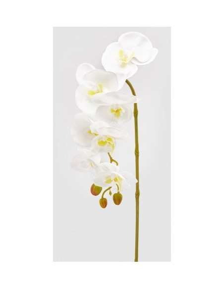 ORQUIDEA RAMO BLANCO X7 H85
