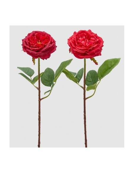 ROSA ALMA BELLEZA
