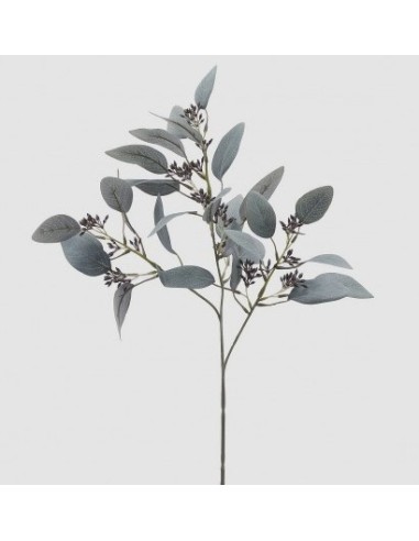 EUCALIPTO RAMO SAGE X3 H 60 C4