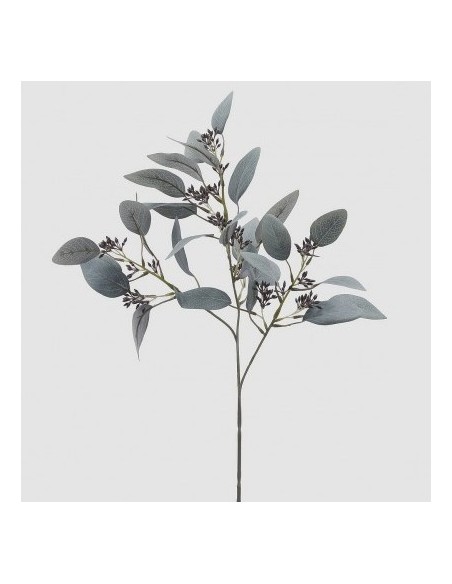 EUCALIPTO RAMO SAGE X3 H 60 C4