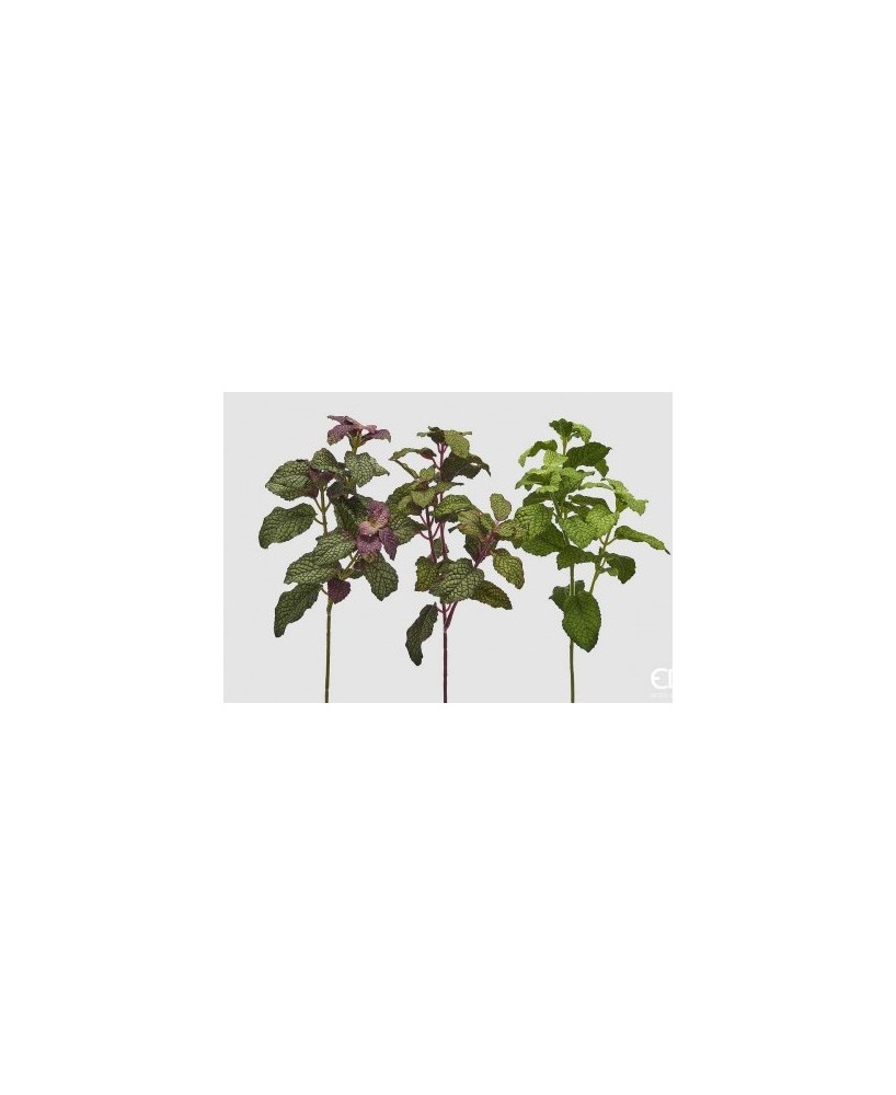 MENTA PICK VERDE MIX