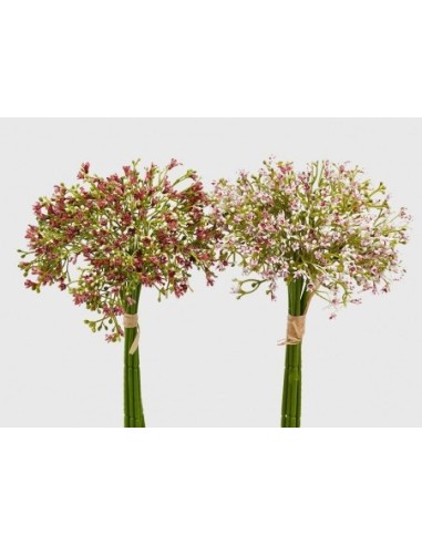 GYPSOPHILA  ROJO/ BLANCO