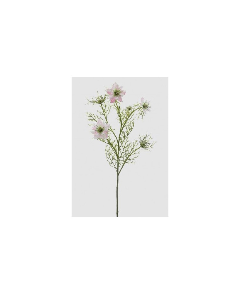 NIGELA RAMO ROSA