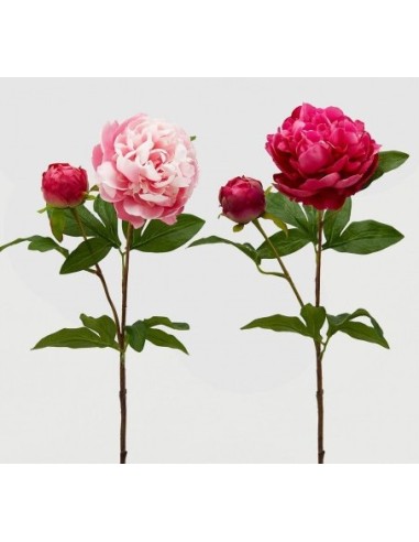 PEONIA RAMO FUCSIA