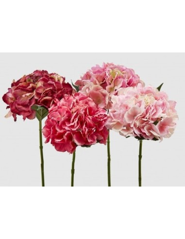 HORTENSIA ROSA 45CM