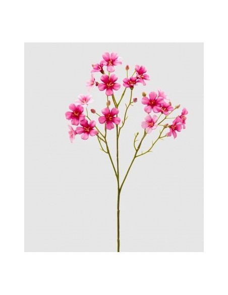 OXALIS RAMO ROSA OSCURO