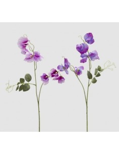 PISELLO 65CM  VIOLETA MIX