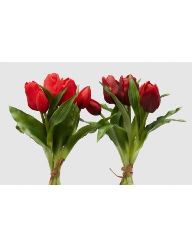 TULIPAN ROJO