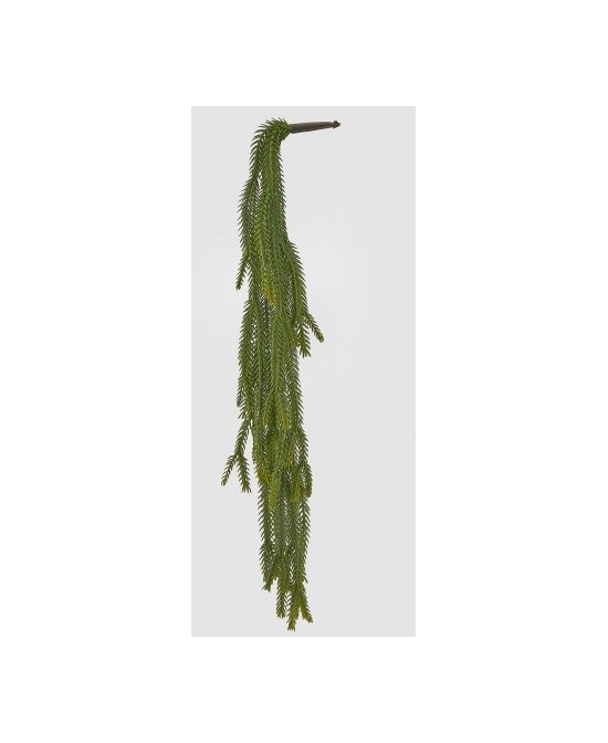 EUPHORBIA BELL VERDE