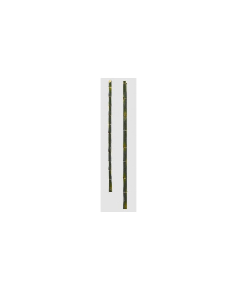 BAMBOO RAMO REAL VERDE