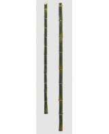 BAMBOO RAMO REAL VERDE