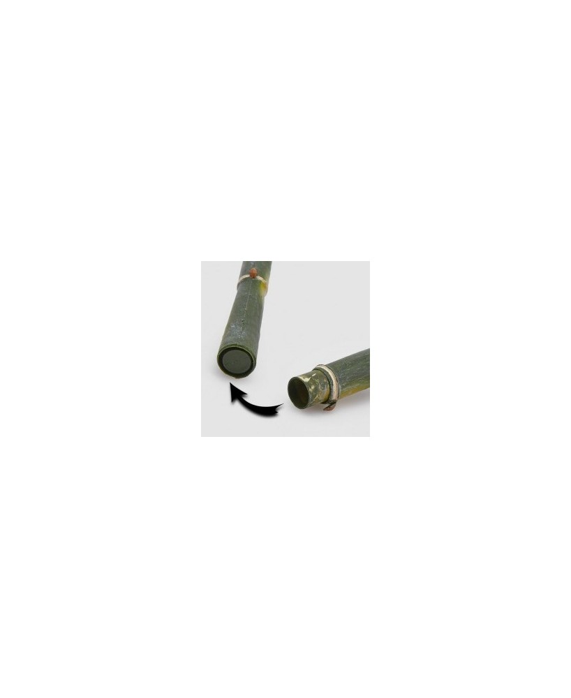 BAMBOO RAMO REAL VERDE