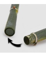BAMBOO RAMO REAL VERDE