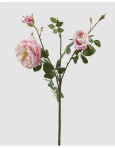 ROSA INGLESE RAMO CON BROTE ROSA CLARO