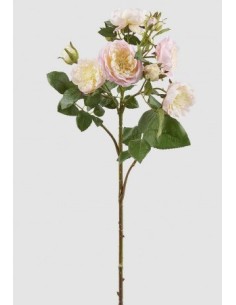 ROSA FRANCESE RAMO CON BROTE ROSA CREMA