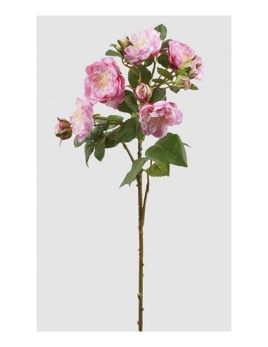 ROSA FRANCESE RAMO CON BROTEN DOS TONOS ROSA