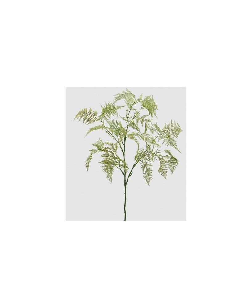 ASPARAGUS RAMO VERDE