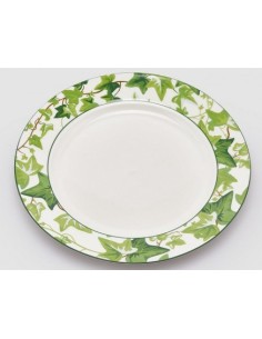 PLATO VERDE BLANCO