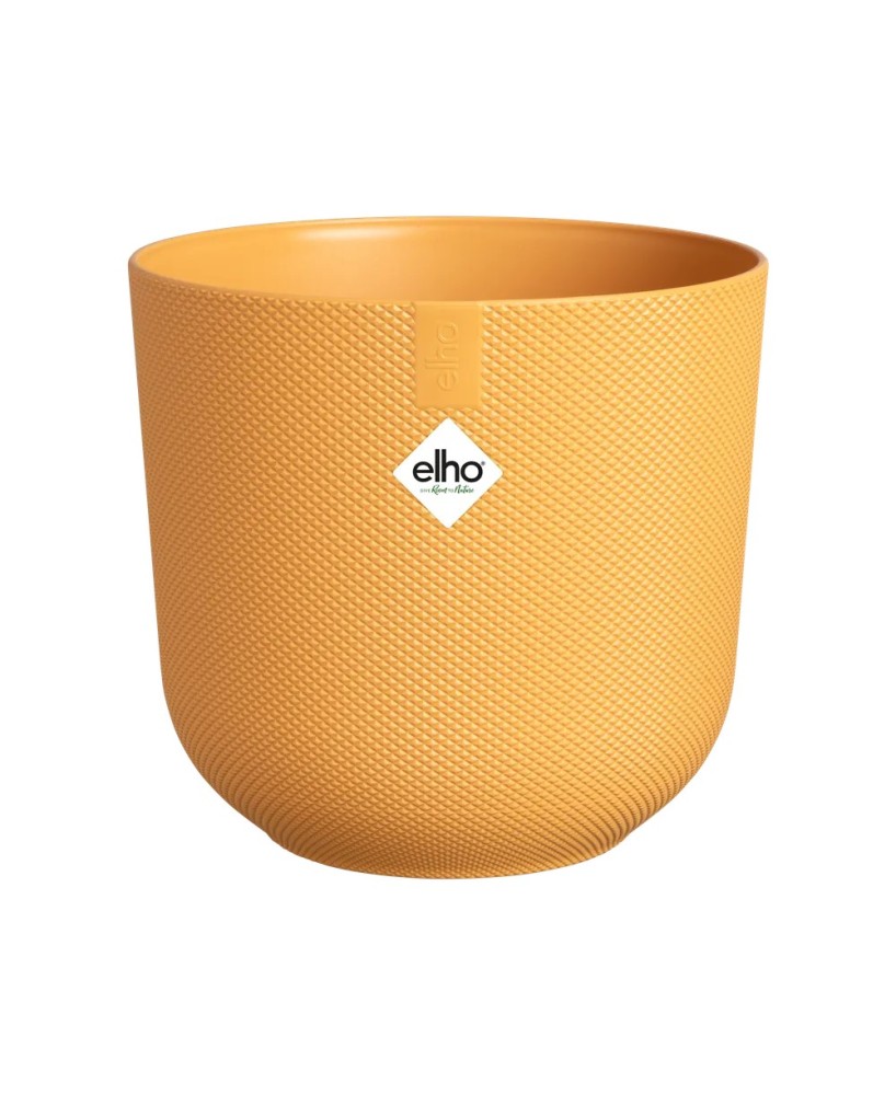Maceta Jazz Amarillo 19 cm | Diseño Vibrante y Funcional para Hogar y Jardín

