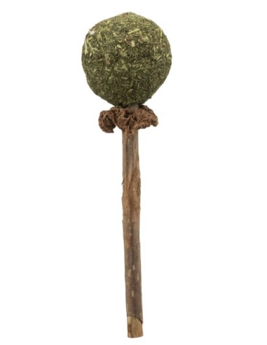 Piruleta Matatabi 11cm para Gatos  Juguete Natural y Salud Dental | Endanea Mascotas