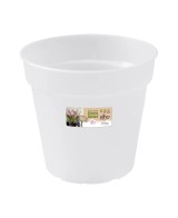 Maceta GB Orquídea Transparente 13 cm  Ideal para el Crecimiento de Orquídeas | Endanea Garden