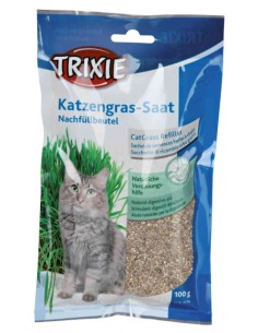 Hierba para Gatos con Bandeja 100g | Salud Digestiva y Entretenimiento Natural

