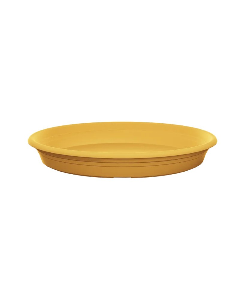 Plato Redondo Universal Mostaza 19 cm  Elegante y Funcional para Macetas | Endanea Garden

