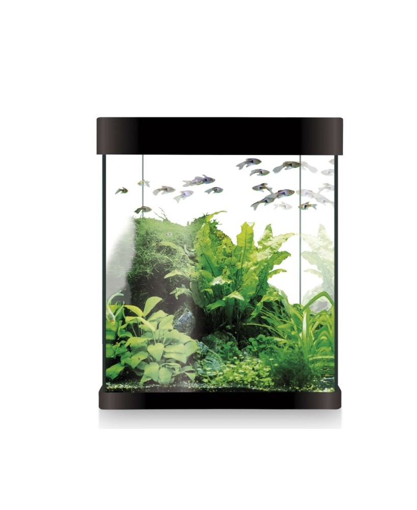 Rama Mariposa D8xH22cm Verde - Decoración Natural Sin Mantenimiento | Endanea Garden