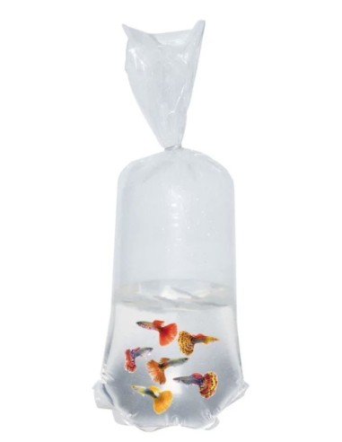 BOLSAS PECES FDO CURVO 16X45XM 100U