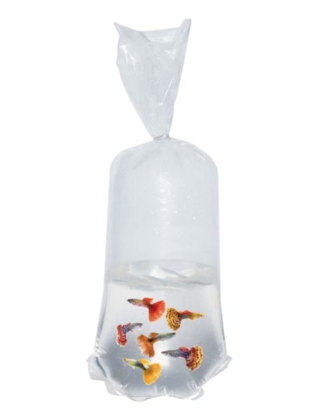 BOLSAS PECES FDO CURVO 16X45XM 100U