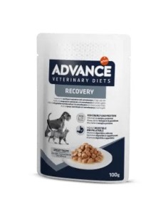 Avet Dog&Cat Wet Recovery 100g | Alimento Húmedo para Recuperación de Perros y Gatos