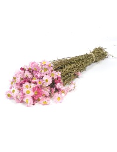 ACROCLINIUM BLANCO NATURAL