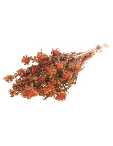 BIDENS NARANJA NATURAL