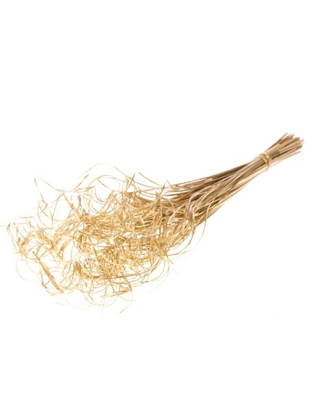 PALMERA RIZADA TING TING 100PC NATURAL