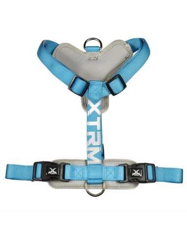 Arnés X-TRM Cronos Neon Flash Azul para Perros | Ajustable y Visible 15mm-25mm