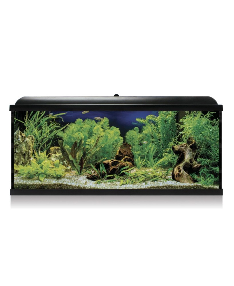 KIT INTERIOR AQUALED 130 NEGRO