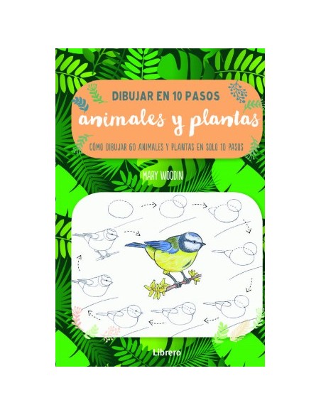 Libro Dibujar en 10 Pasos Animales y Plantas guía paso a paso para principiantes Endanea Garden