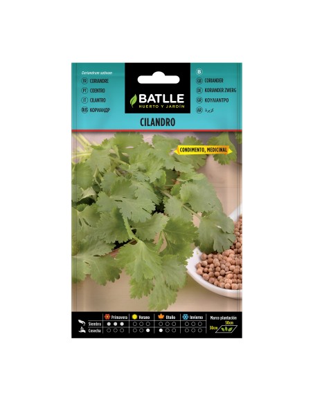 Semillas de Cilantro Coriandrum Batlle  Cultiva Cilantro Fresco y Aromático | Endanea Garden

