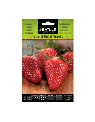 Semillas Fresón 4 Estaciones Batlle  Fresas Dulces y Productivas Todo el Año | Endanea Garden

