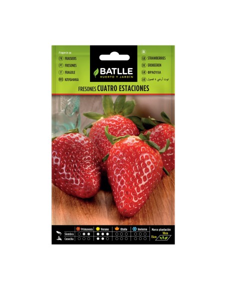 Semillas Fresón 4 Estaciones Batlle  Fresas Dulces y Productivas Todo el Año | Endanea Garden

