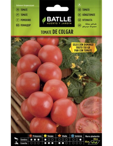 Semilla Tomate Colgar SL.Domingo | Alta Producción y Sabor Dulce | Endanea Garden

