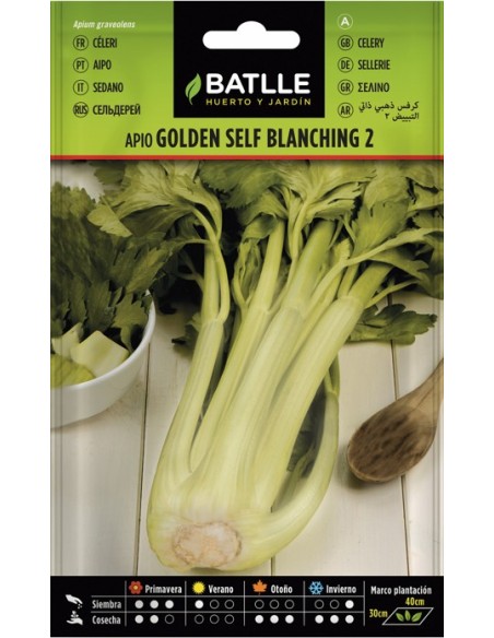 Semilla Apio Golden Self Blanching 2 | Apio Dorado Fácil Cultivo | Endanea Garden

