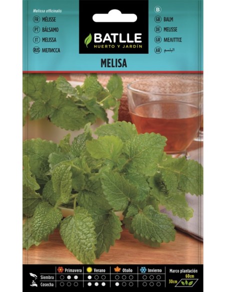 Semillas Melisa Officinalis (Toronjil) | Aromática, Medicinal y Fácil Cultivo | Endanea Garden

