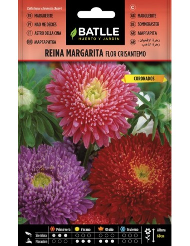 Semilla Reina Margarita Flor Crisantemo  Flores Vivas y Resistentes | Endanea Garden

semillas reina margarita, flor crisantem