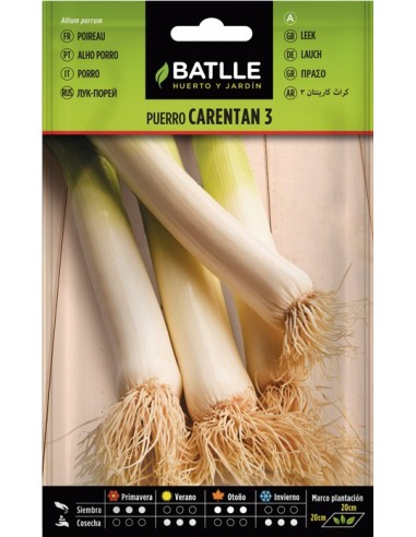 Semilla de Puerro Caretan | Alta Germinación y Cosecha Abundante | Endanea Garden

