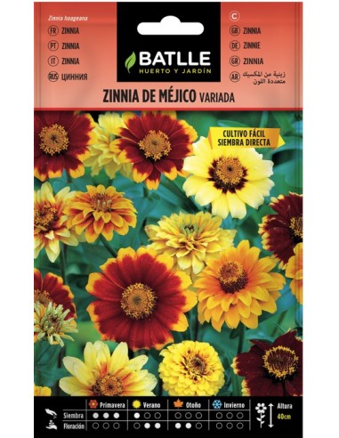 Semillas Zinnia de México Variada | Endanea Garden

