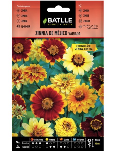 Semillas Zinnia de México Variada | Endanea Garden

