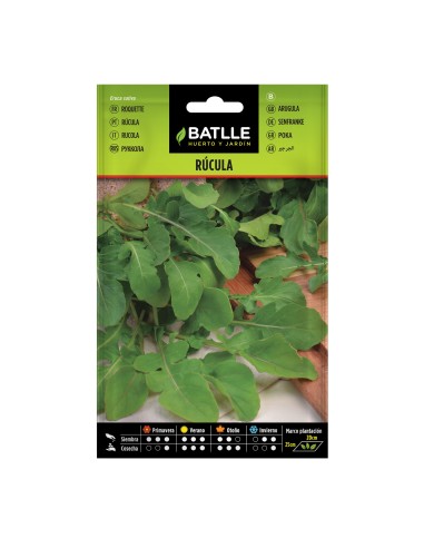 Semilla Rúcula Batlle | Rápida Germinación y Sabor Intenso | Endanea Garden

