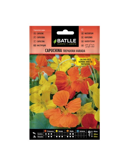Semillas Capuchina Trepadora Batlle  Flores Comestibles y Crecimiento Rápido | Endanea Garden

