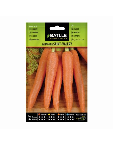 Semillas Zanahoria Saint Valery Batlle  Cultiva Zanahorias Dulces y Crujientes | Endanea Garden

